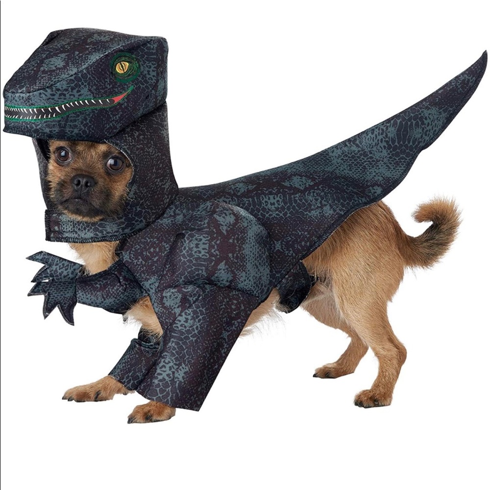 Dog Pupasaurus Rex Costume